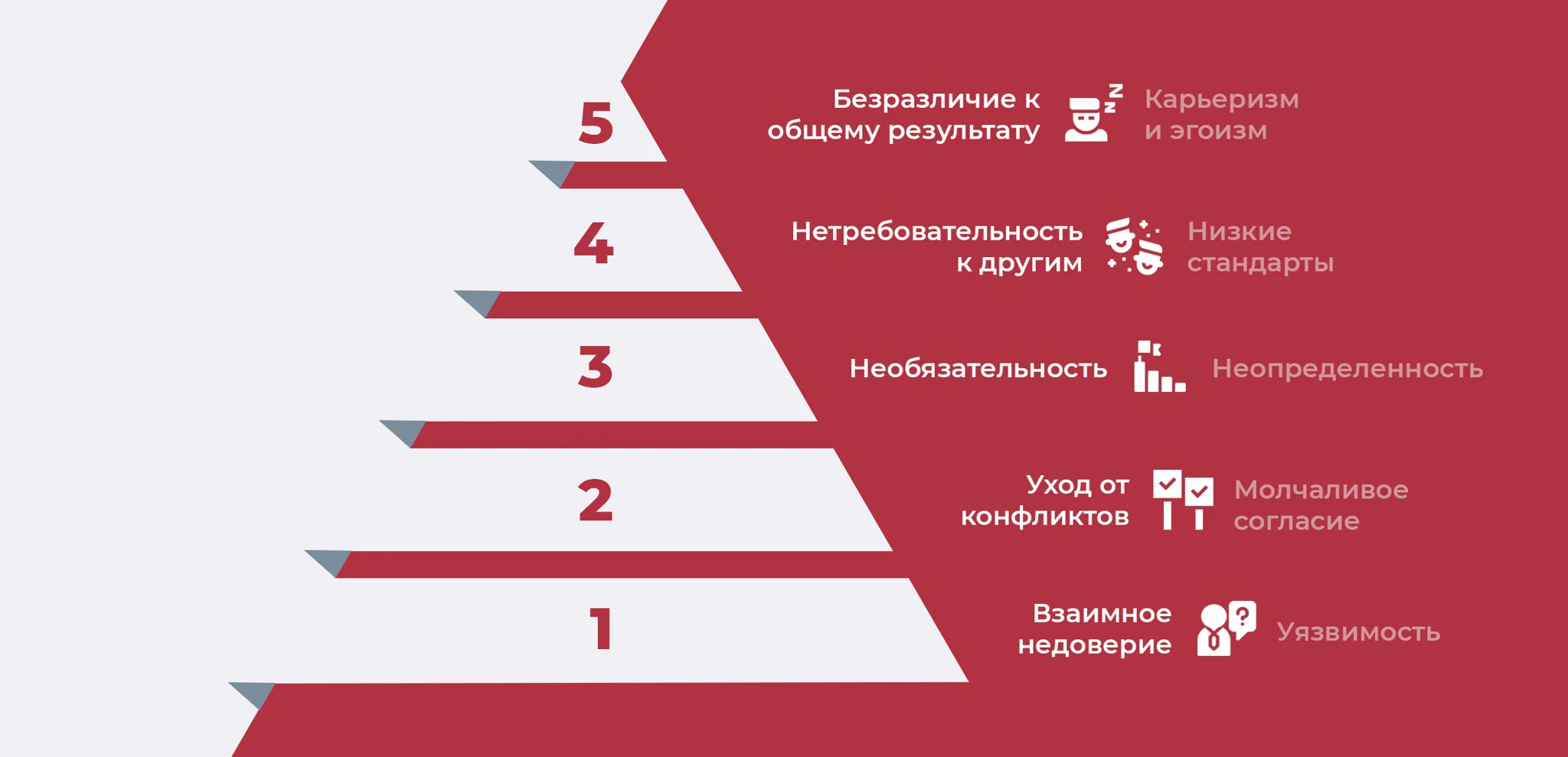 5 пороков команды